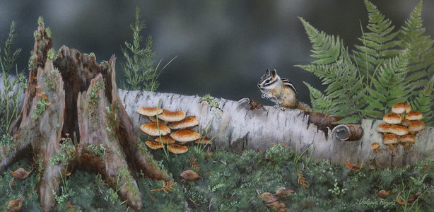 Mushrooms and Moss