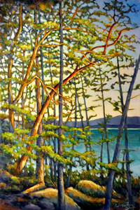 Arbutus Trees by the RockyShore1