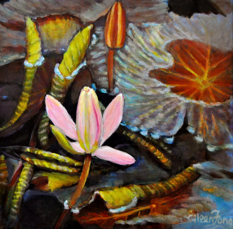 Waterlily Pond