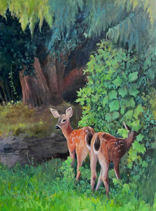 Fawns