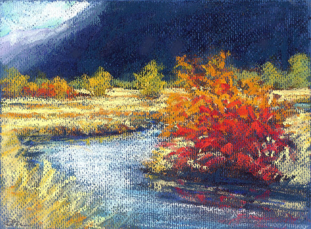 Firebush