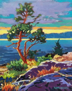 Lighthouse Park Arbutus