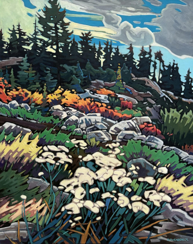 Views from Mount Seymour