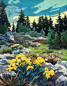 Mount Seymour Hike-3