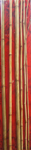 Bamboo 3