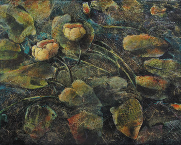 Yellow Waterlilies