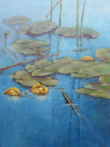 Waterlilies