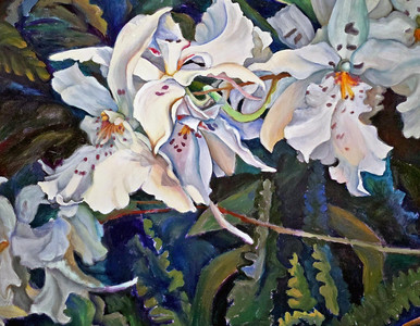 Garden Orchids