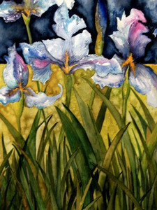 Irises 