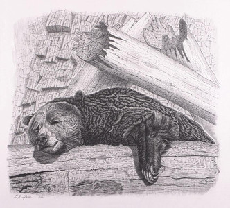 "Napping Bear"