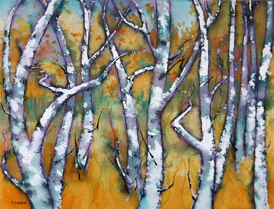 Wild Wood
