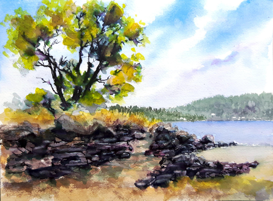 Mill Bay Day