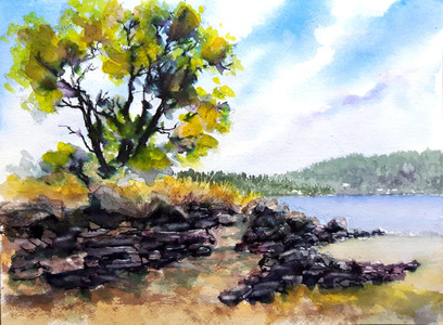 Mill Bay Day