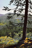 View #1