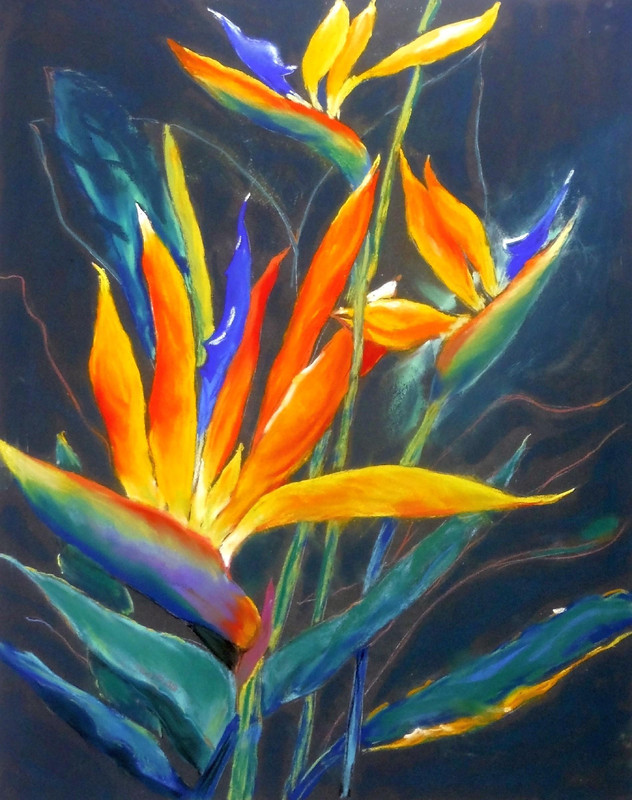 Colourful Cranes