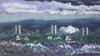 View #1