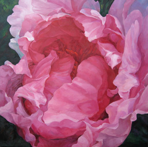 Peony 1