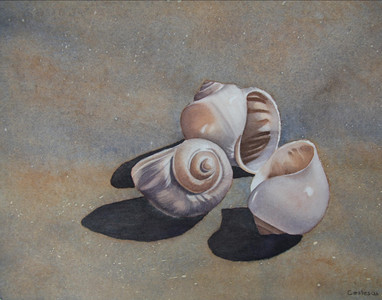 Shell Dance