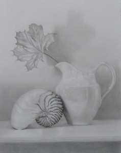 Still Life - Vase & Shell