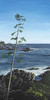 View #1