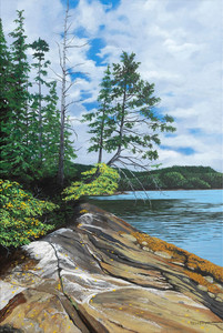 Monckton Inlet Shoreline