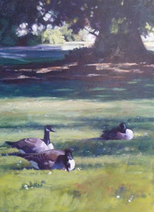 Spring Geese