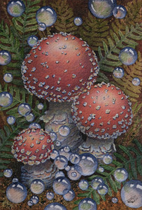 Mushrooms