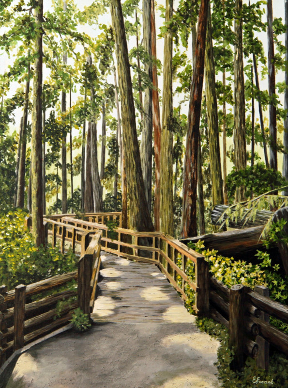 Path to Quiet Journey