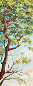 Beachside Arbutus