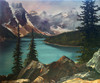 View #1