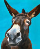 View #1