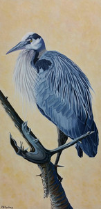 Great Blue