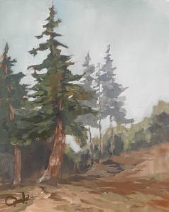 West Coast Views #1