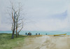 View #1
