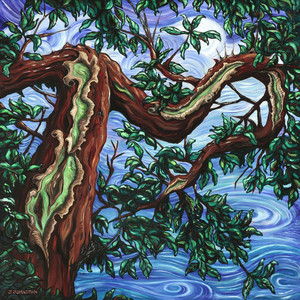 Sechelt Arbutus III