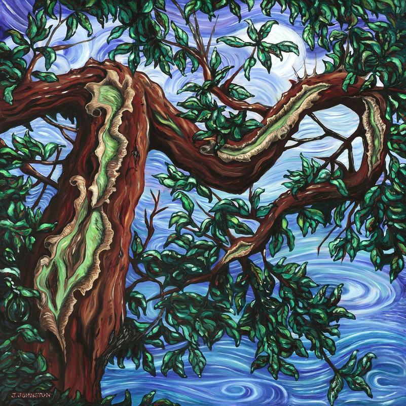 Sechelt Arbutus III
