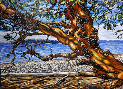 3 - Gulf Island Arbutus II