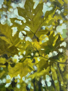 Leaf Patterns Maple I