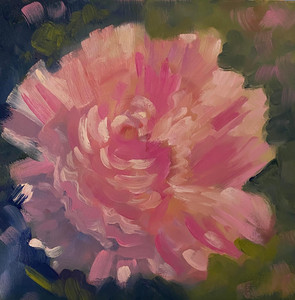 Pink Peony