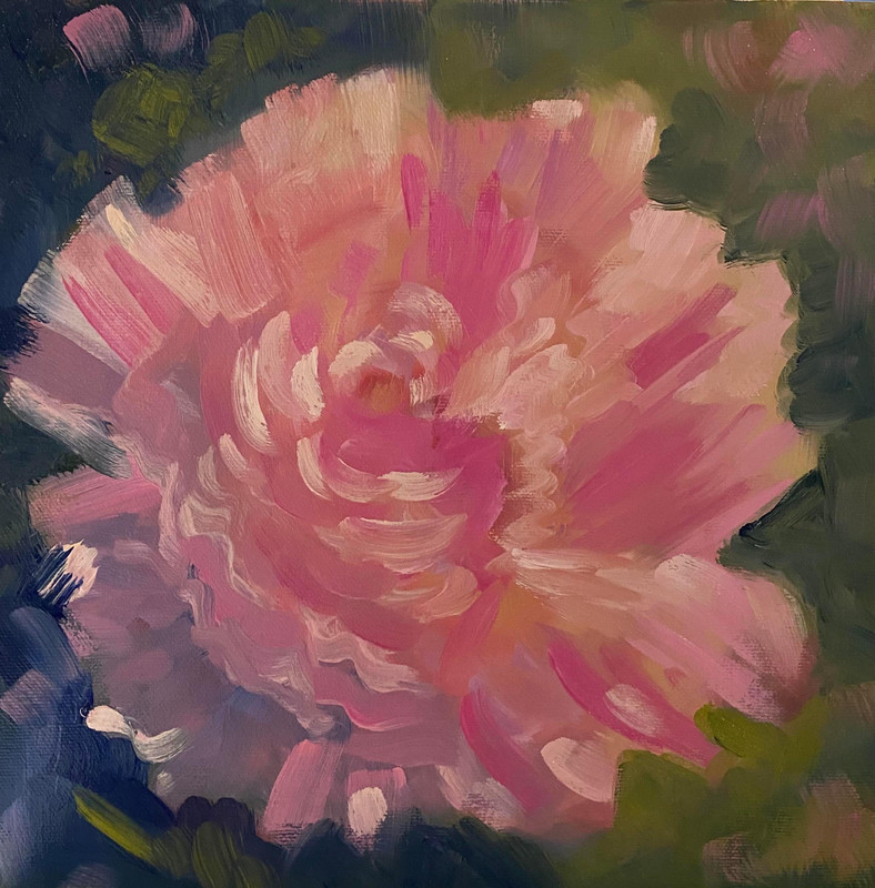Pink Peony
