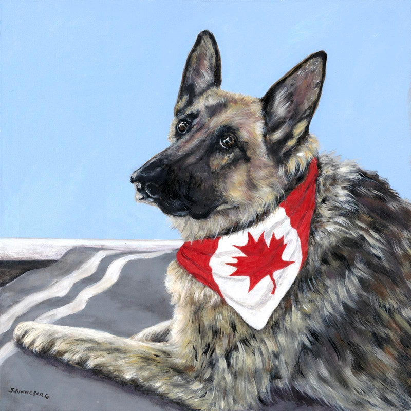 A True Canadian Friend