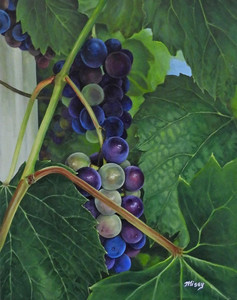 Grape Expectations