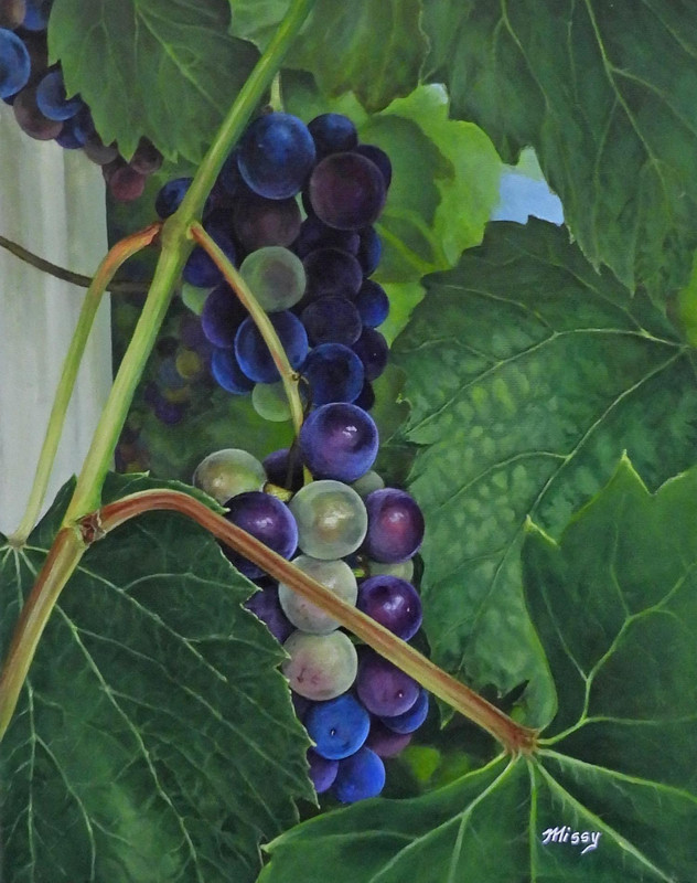 Grape Expectations