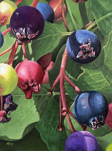 Live Jurying Item #2