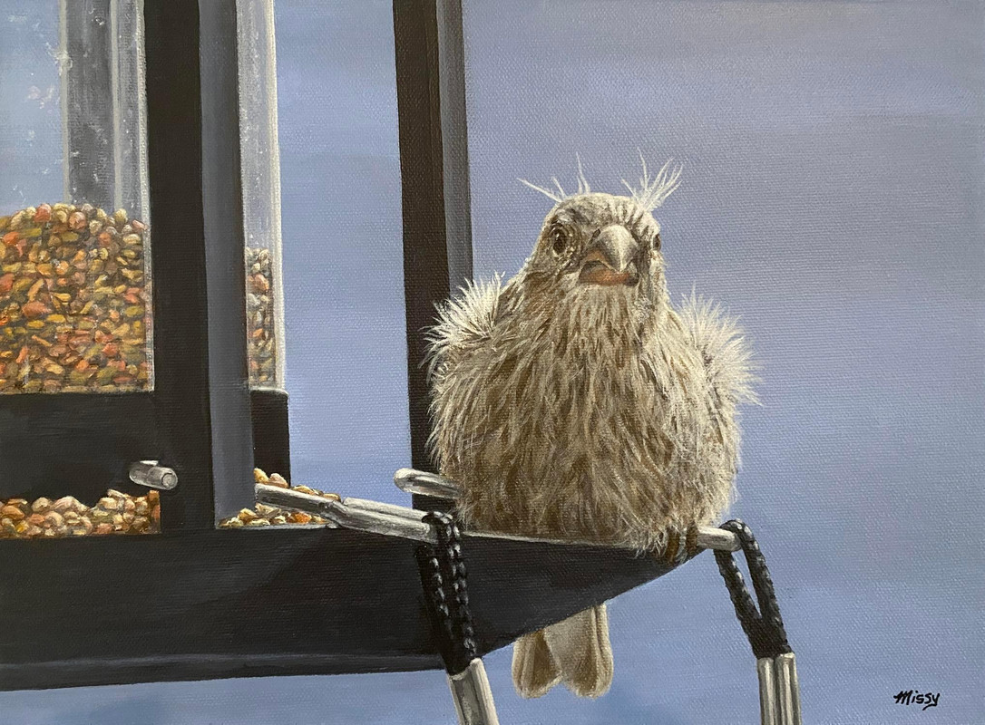 Fluffers
