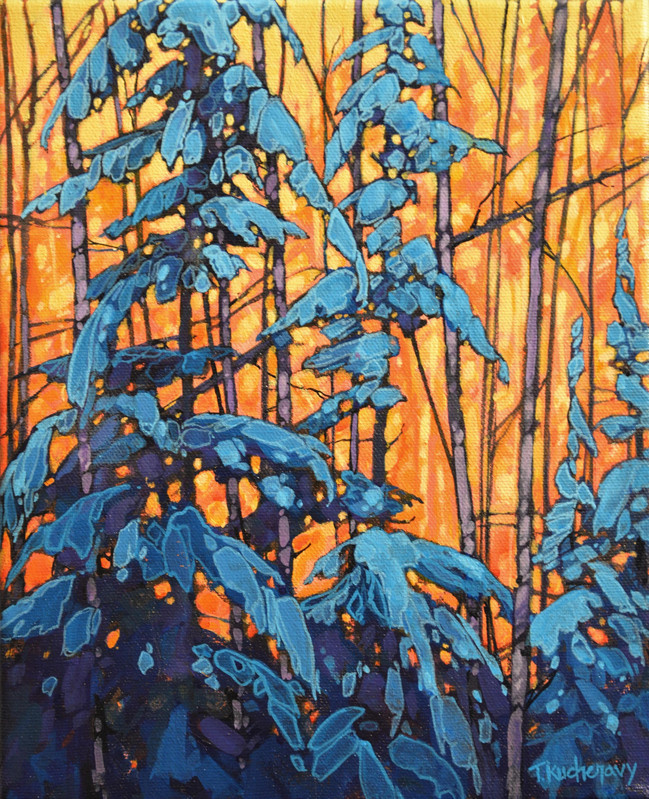 Evening Dusk, Assiniboine Forest - Series 3