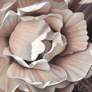 Begonia 18