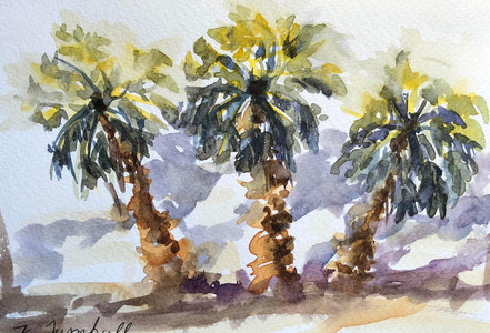 Baby Palms, Palm Springs