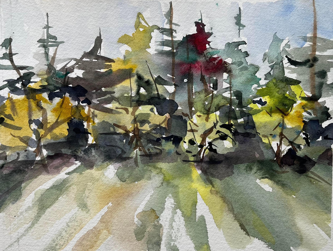 Afternoon Shadows