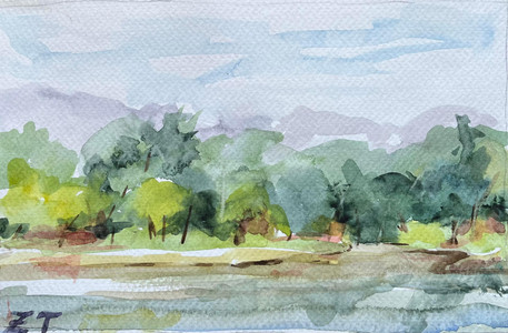 Trout Lake south